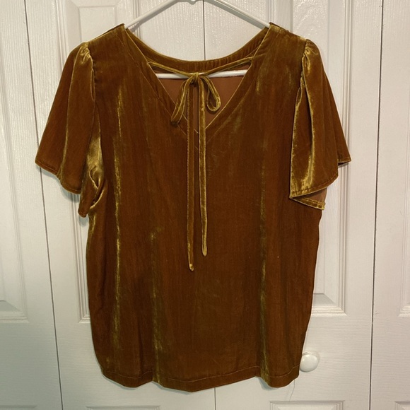Gold Velvet Texture Loft Blouse - Picture 2 of 6